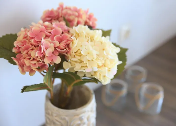 Apartahotel Sentimento