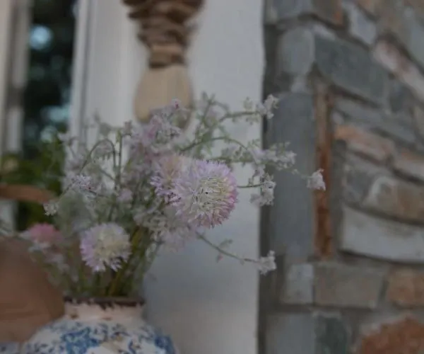 Apartahotel Sentimento Prínos