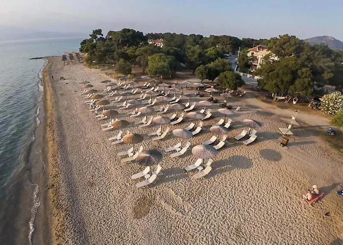 Sentimento 4* Prínos